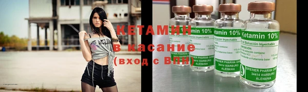 твердый Аркадак