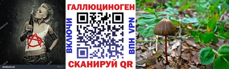 Галлюциногенные грибы Psilocybine cubensis  ссылка на мегу сайт  Протвино  хочу  